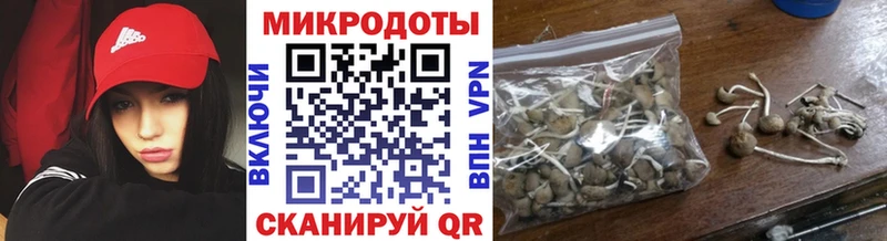 Псилоцибиновые грибы GOLDEN TEACHER  OMG как войти  Камбарка 